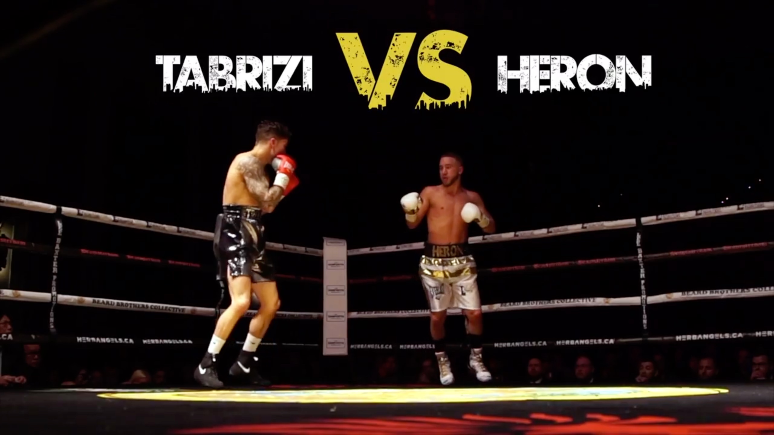 NBN Boxing · Light Em Up — Editor · Story Editor · Motion Graphics